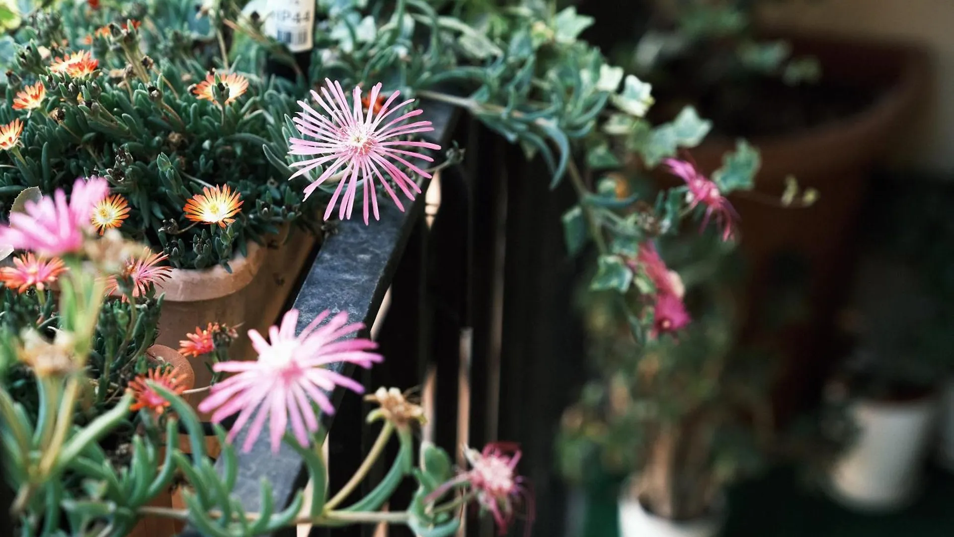Comecasa Flowery Terraced Apartment Milan 0*,